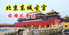 把骚逼操烂免费视频中国北京-东城古宫旅游风景区